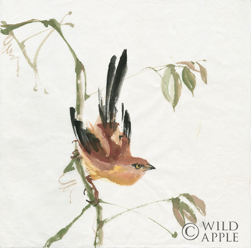 Reproduction of Mountain Bush Warbler by Chris Paschke - Wall Decor Art