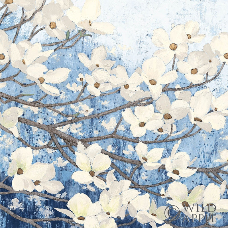 Reproduction of Dogwood Blossoms II Indigo by James Wiens - Wall Decor Art