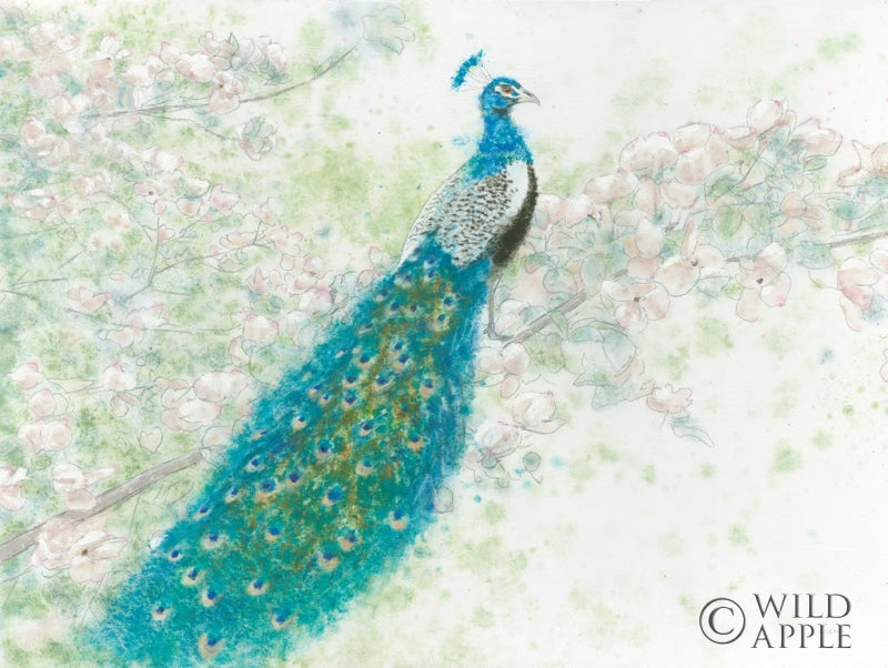 Reproduction of Spring Peacock I by James Wiens - Wall Decor Art