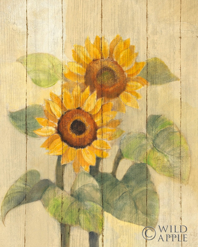 Reproduction of Summer Sunflowers I on Barn Board by Albena Hristova - Wall Decor Art