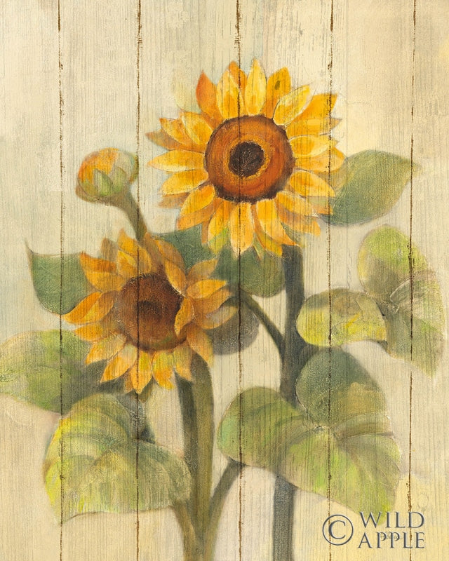 Reproduction of Summer Sunflowers II on Barn Board by Albena Hristova - Wall Decor Art