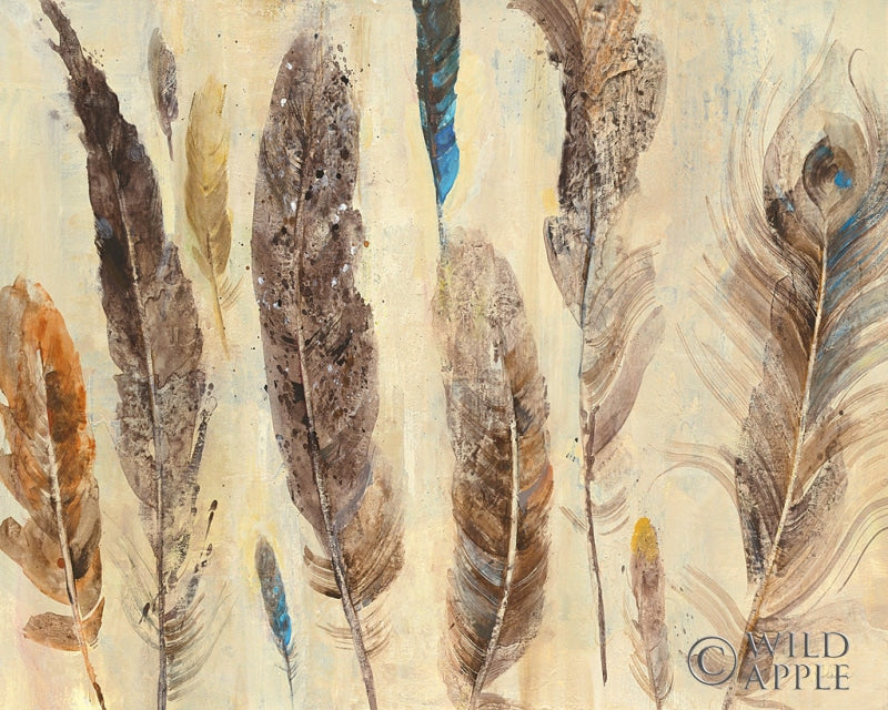 Reproduction of Feather Study by Albena Hristova - Wall Decor Art