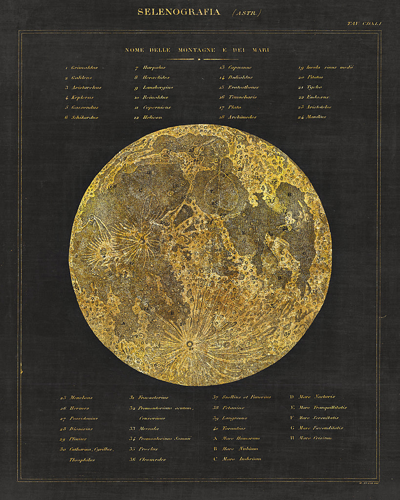 Reproduction of Astronomical Chart I by Wild Apple Portfolio - Wall Decor Art