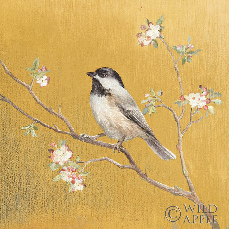 Reproduction of Black Capped Chickadee on Gold by Danhui Nai - Wall Decor Art