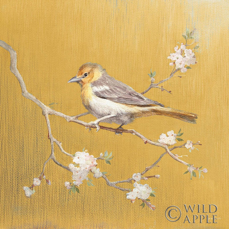 Reproduction of Northern Oriole on Gold by Danhui Nai - Wall Decor Art