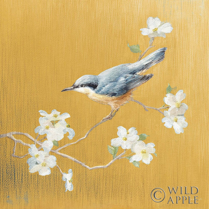Reproduction of Nuthatch on Gold by Danhui Nai - Wall Decor Art