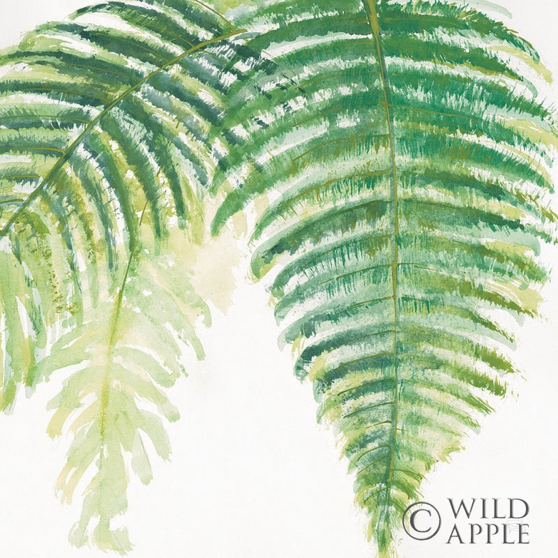 Reproduction of Ferns III Square by Chris Paschke - Wall Decor Art