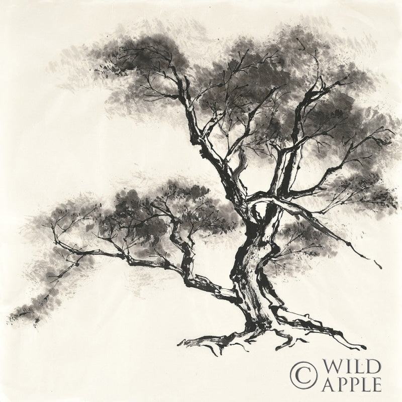 Reproduction of Sumi Tree II by Chris Paschke - Wall Decor Art
