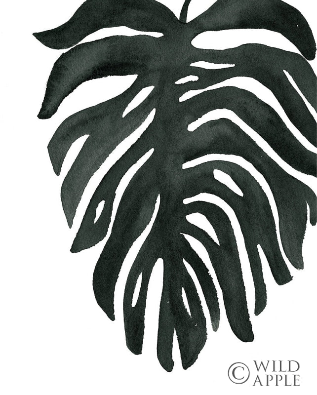 Reproduction of Tropical Palm II BW by Wild Apple Portfolio - Wall Decor Art