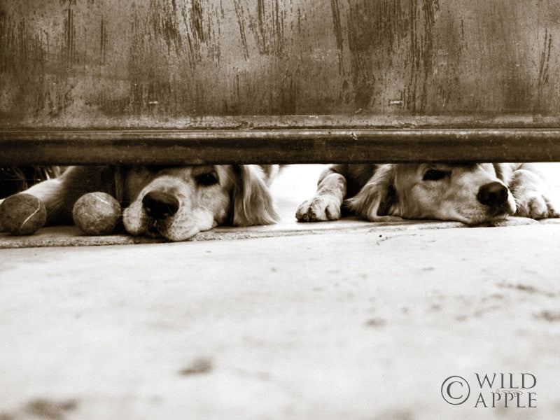 Reproduction of We See You by Jim Dratfield - Wall Decor Art