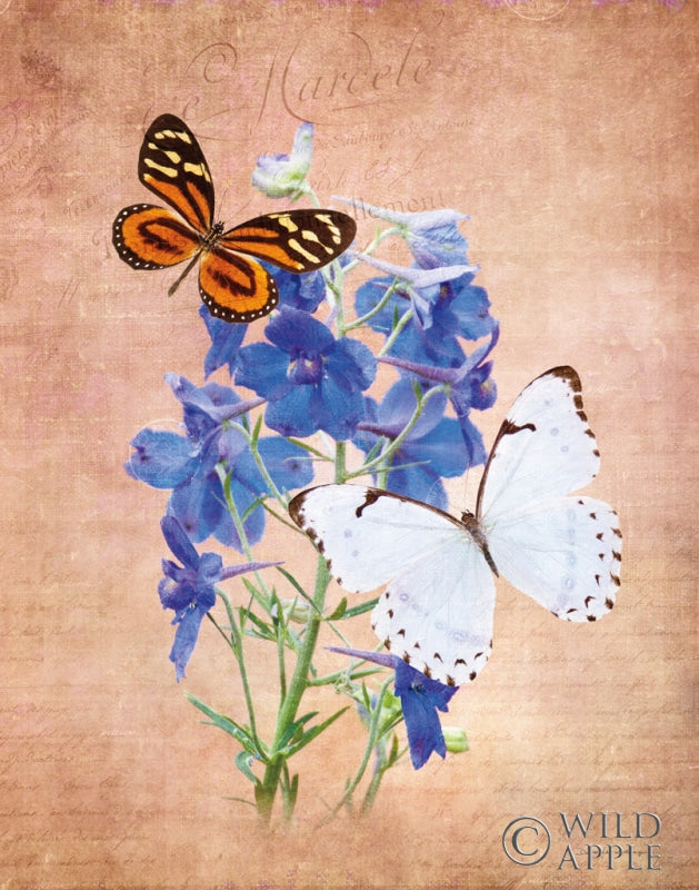 Reproduction of Butterfly Botanical III by Debra Van Swearingen - Wall Decor Art