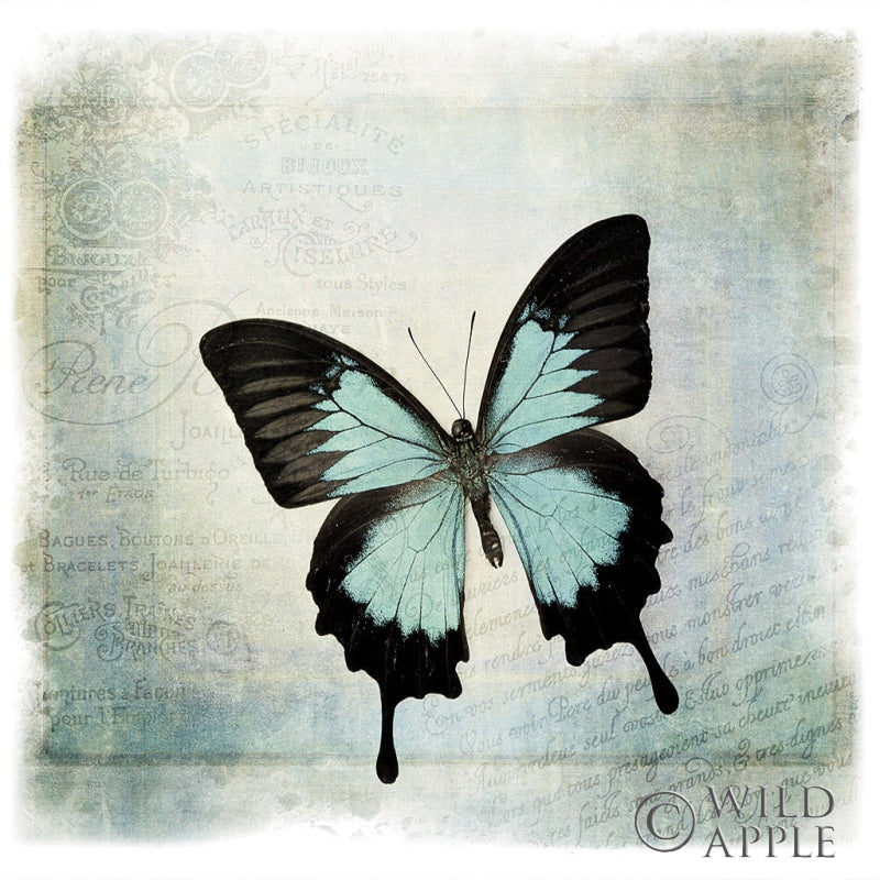 Reproduction of Floating Butterfly III by Debra Van Swearingen - Wall Decor Art