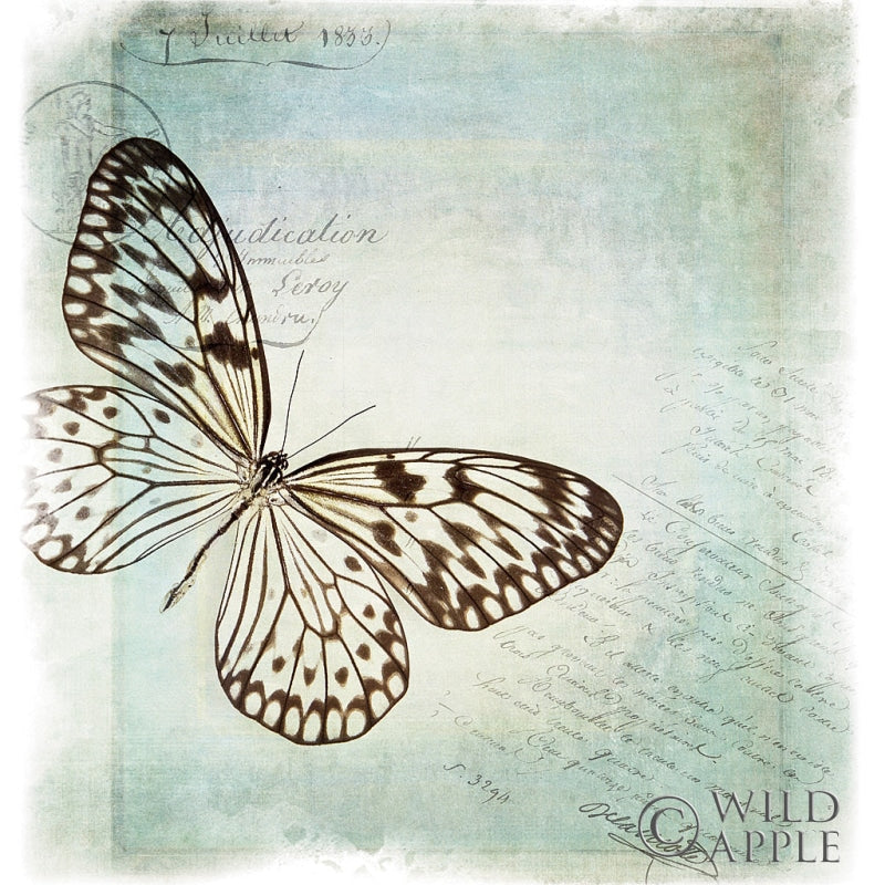Reproduction of Floating Butterfly IV by Debra Van Swearingen - Wall Decor Art
