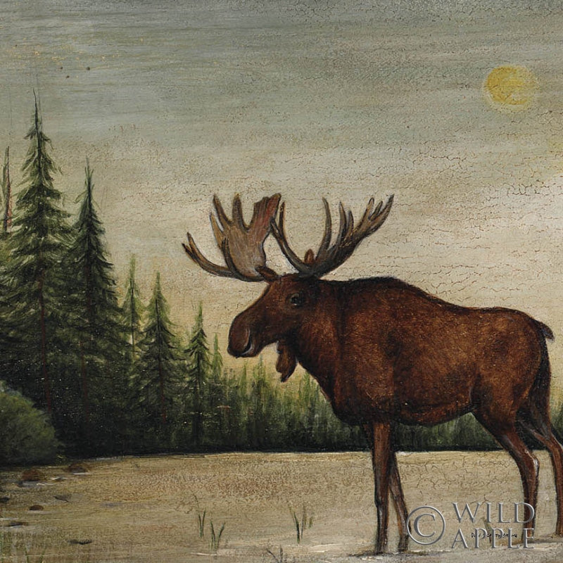 Reproduction of North Woods Moose II by David Carter Brown - Wall Decor Art