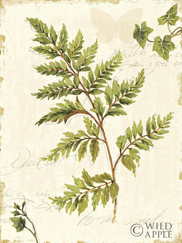 Reproduction of Ivies and Ferns I no Dragonfly by Lisa Audit - Wall Decor Art