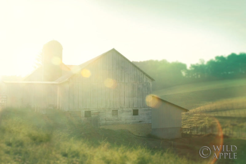 Reproduction of Farm Morning II by Sue Schlabach - Wall Decor Art