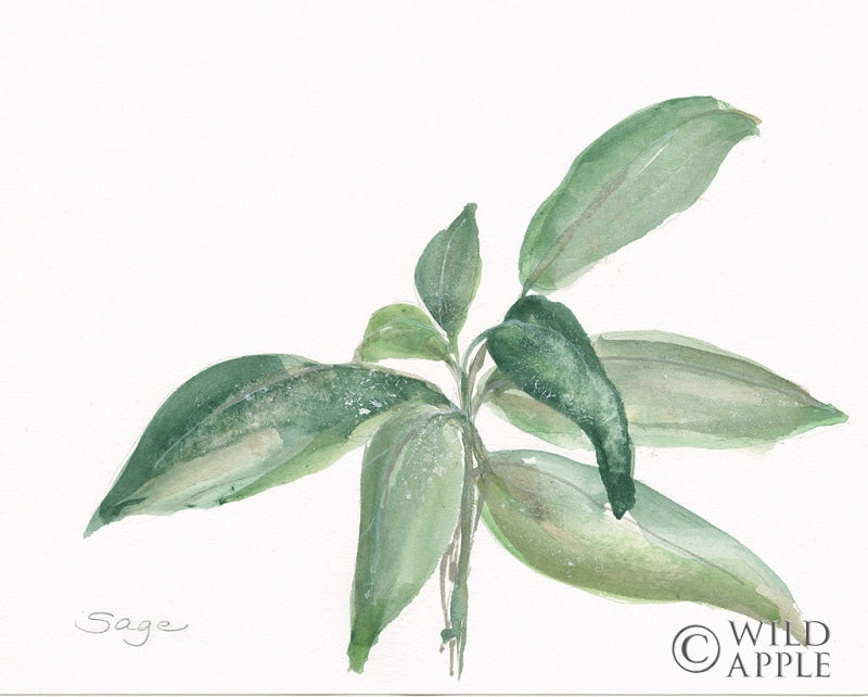 Reproduction of Sage I by Chris Paschke - Wall Decor Art