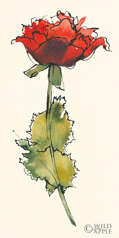 Reproduction of Somn Bits II by Shirley Novak - Wall Decor Art