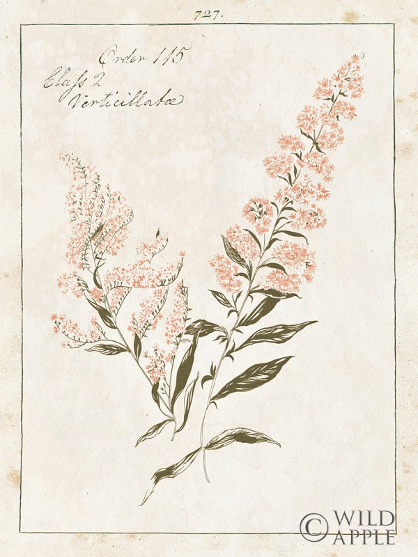 Reproduction of Flowers on White I with Words by Wild Apple Portfolio - Wall Decor Art