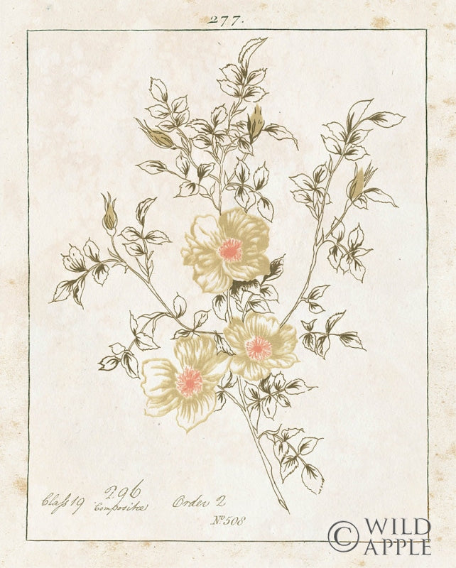 Reproduction of Flowers on White II with Words by Wild Apple Portfolio - Wall Decor Art