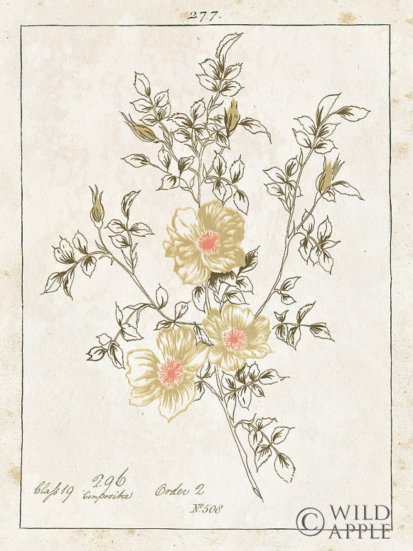 Reproduction of Flowers on White II with Words by Wild Apple Portfolio - Wall Decor Art