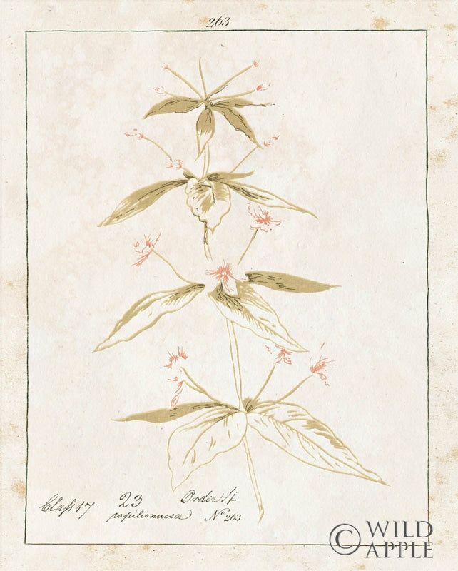 Reproduction of Flowers on White III with Words by Wild Apple Portfolio - Wall Decor Art