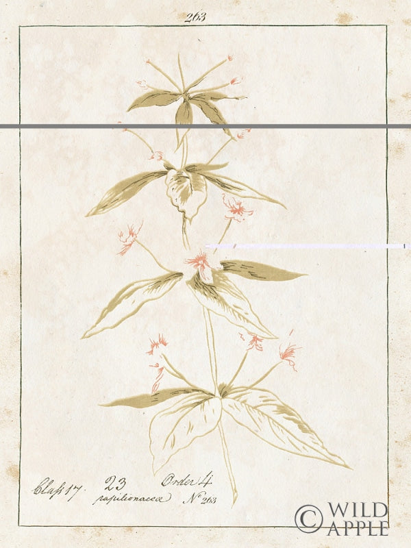 Reproduction of Flowers on White III with Words by Wild Apple Portfolio - Wall Decor Art