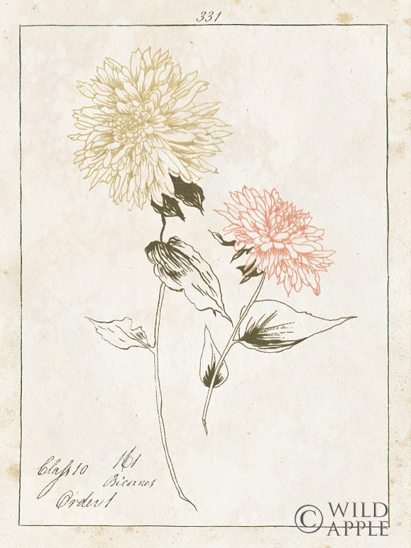 Reproduction of Flowers on White IV with Words by Wild Apple Portfolio - Wall Decor Art