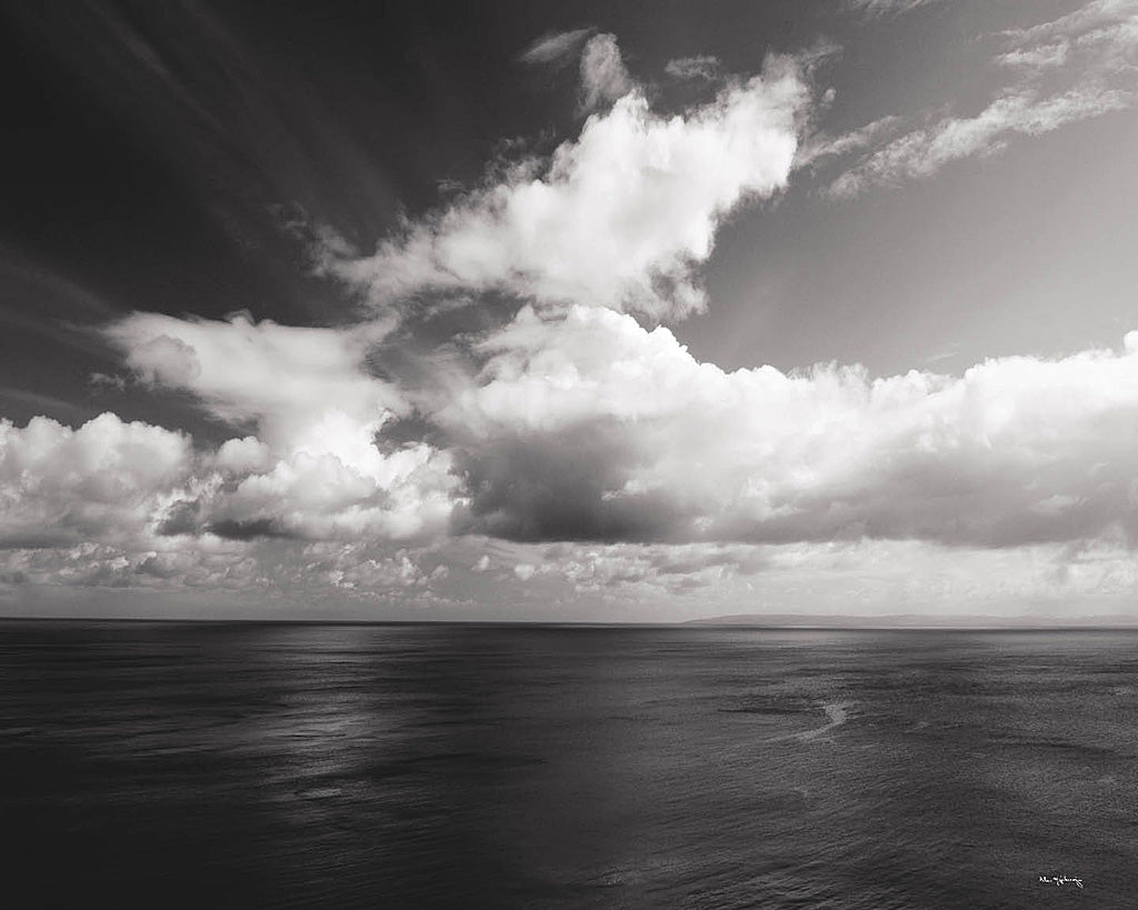 Reproduction of Looking Out BW by Alan Majchrowicz - Wall Decor Art