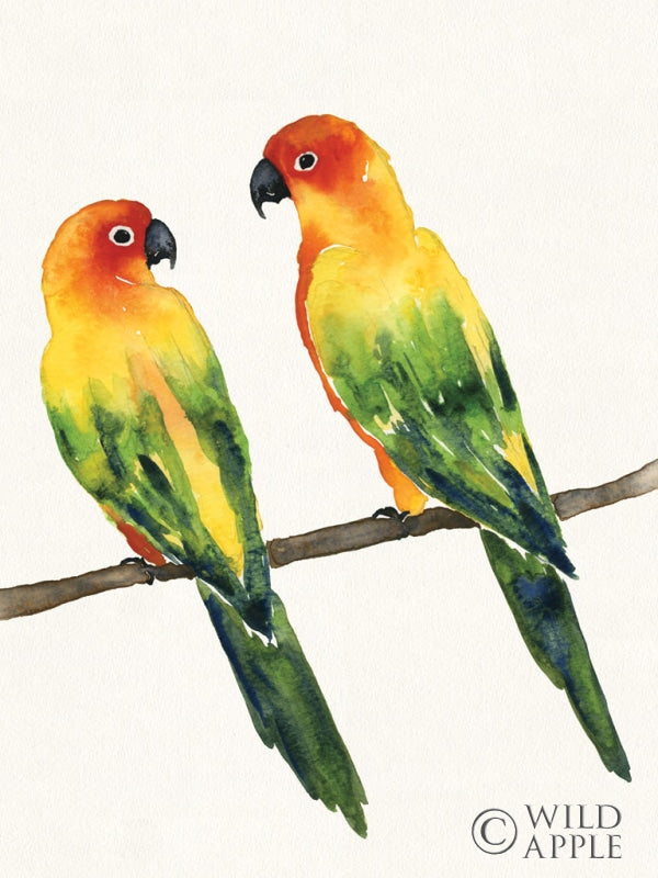 Reproduction of Tropical Fun Bird Crop by Harriet Sussman - Wall Decor Art