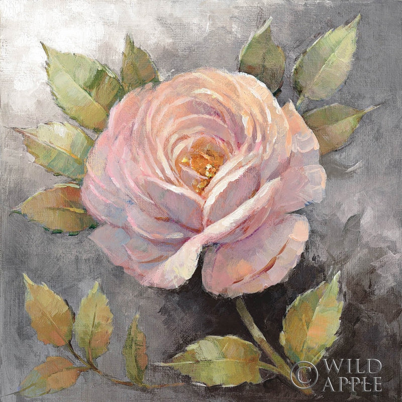 Reproduction of Roses on Gray IV Crop by Peter McGowan - Wall Decor Art