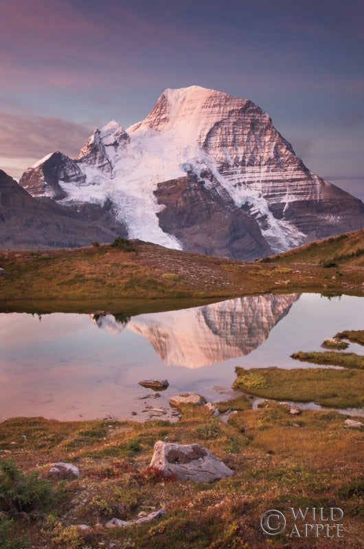 Reproduction of Mount Robson by Alan Majchrowicz - Wall Decor Art