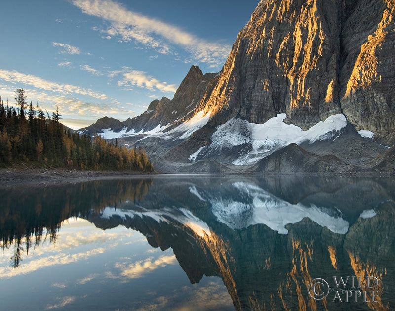 Reproduction of Floe Lake Reflection III Crop by Alan Majchrowicz - Wall Decor Art