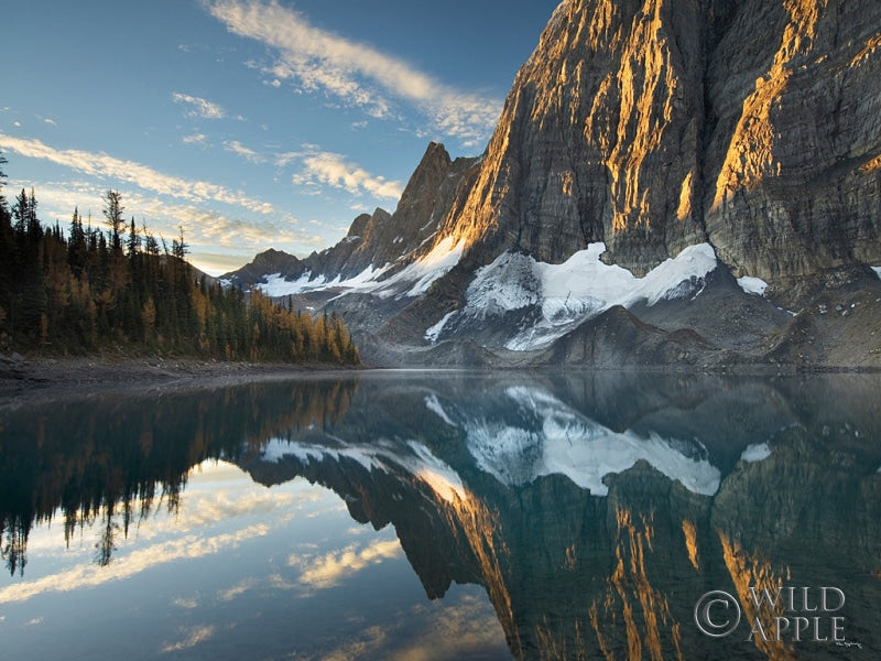 Reproduction of Floe Lake Reflection III Crop by Alan Majchrowicz - Wall Decor Art