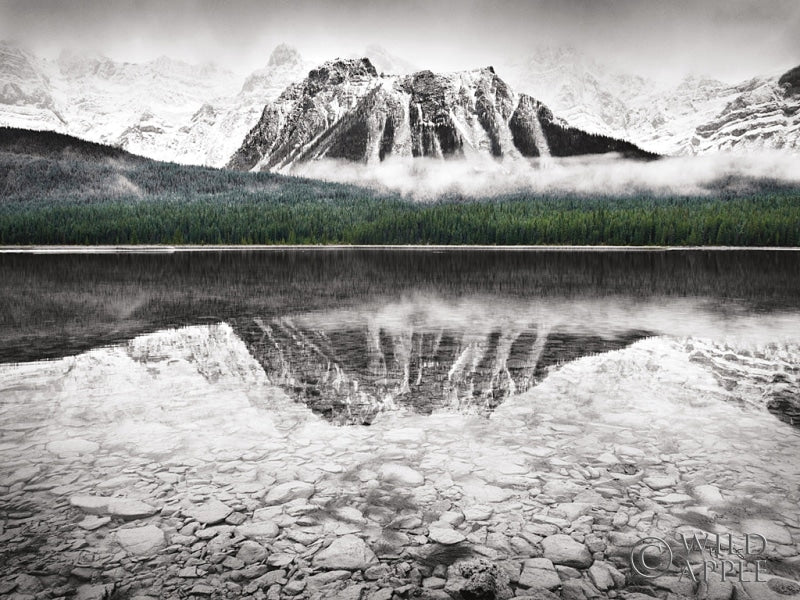 Reproduction of Waterfowl Lake I BW with Color Crop by Alan Majchrowicz - Wall Decor Art