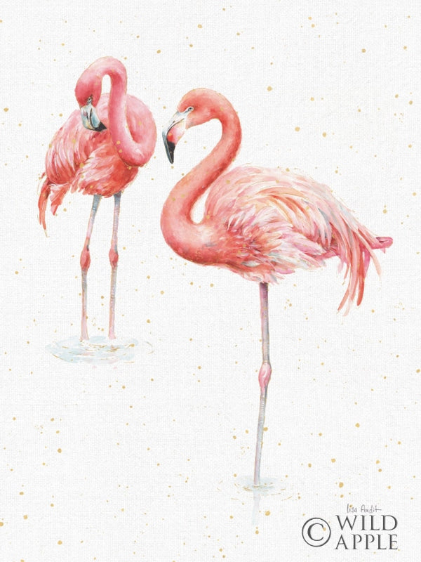 Reproduction of Gracefully Pink X Crop by Lisa Audit - Wall Decor Art