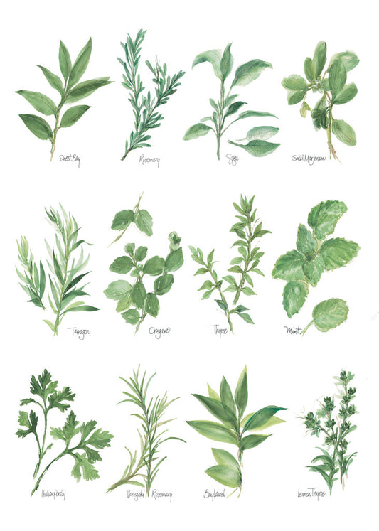 Reproduction of Herb Chart by Chris Paschke - Wall Decor Art