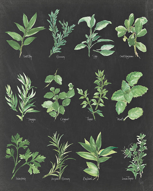 Reproduction of Herb Chart on Black by Chris Paschke - Wall Decor Art
