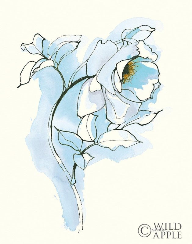 Reproduction of Carols Roses III Blue by Shirley Novak - Wall Decor Art