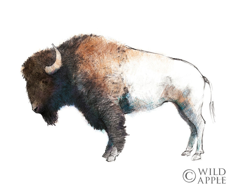 Reproduction of Colorful Bison Dark Brown by Avery Tillmon - Wall Decor Art