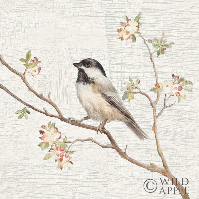 Reproduction of Black Capped Chickadee Vintage by Danhui Nai - Wall Decor Art
