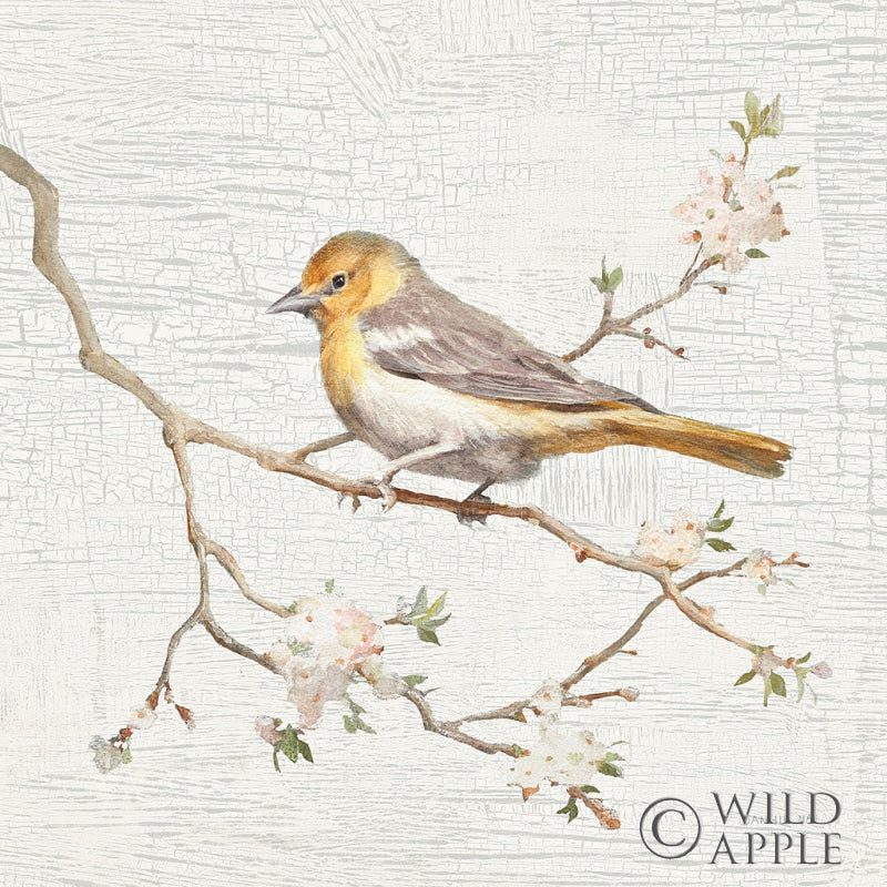 Reproduction of Northern Oriole Vintage by Danhui Nai - Wall Decor Art