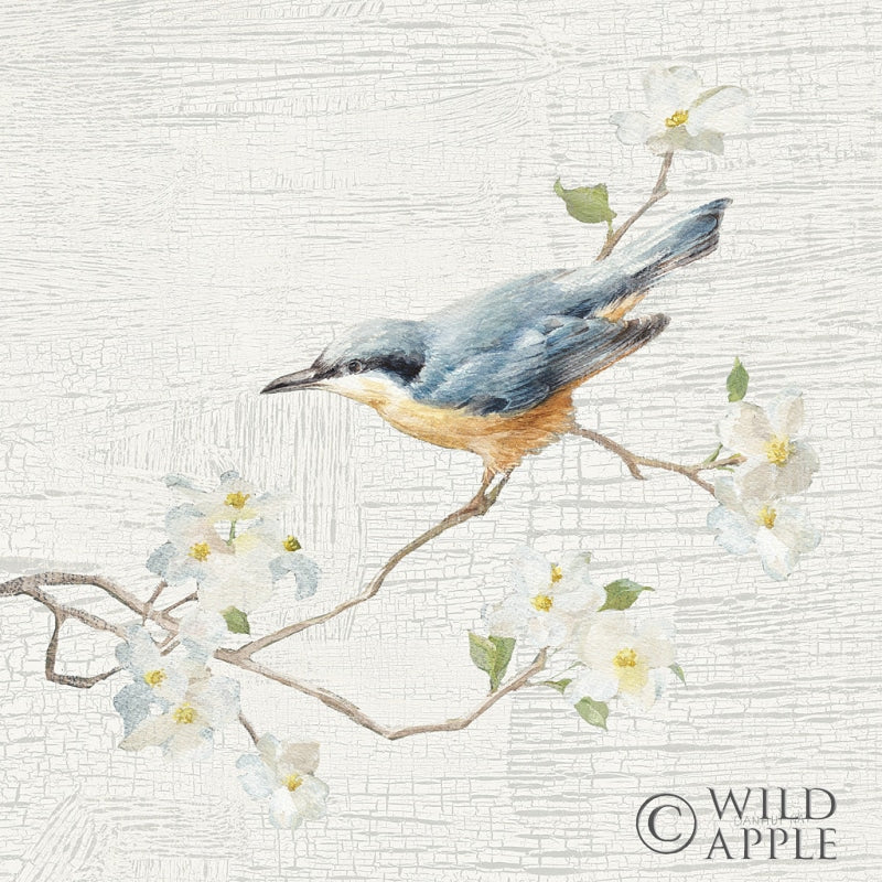 Reproduction of Nuthatch Vintage by Danhui Nai - Wall Decor Art