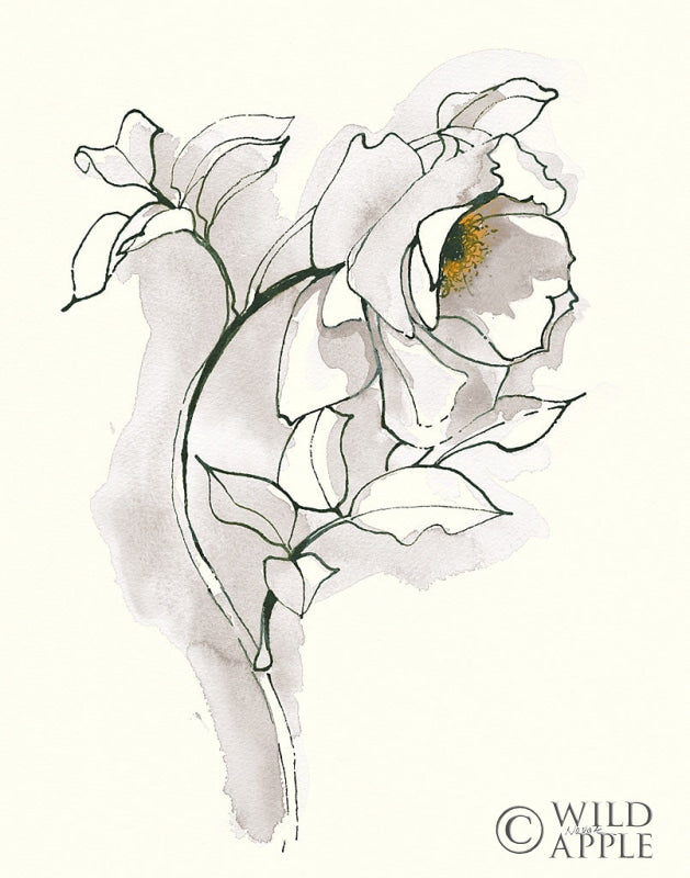 Reproduction of Carols Roses III Soft Gray by Shirley Novak - Wall Decor Art