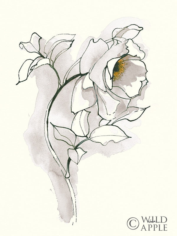 Reproduction of Carols Roses III Soft Gray by Shirley Novak - Wall Decor Art