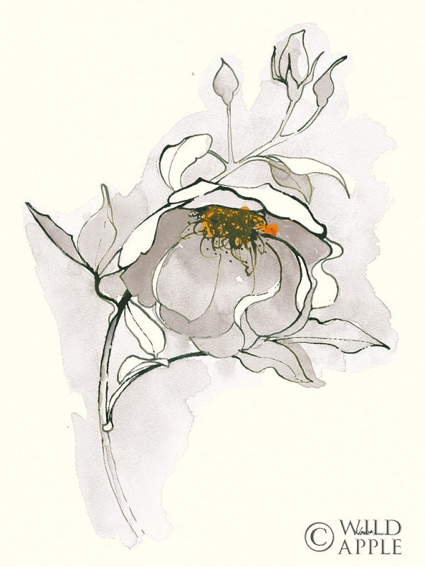 Reproduction of Carols Roses V Off White by Shirley Novak - Wall Decor Art