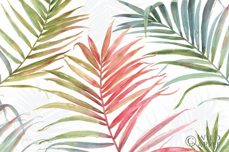 Reproduction of Tropical Blush IV by Lisa Audit - Wall Decor Art