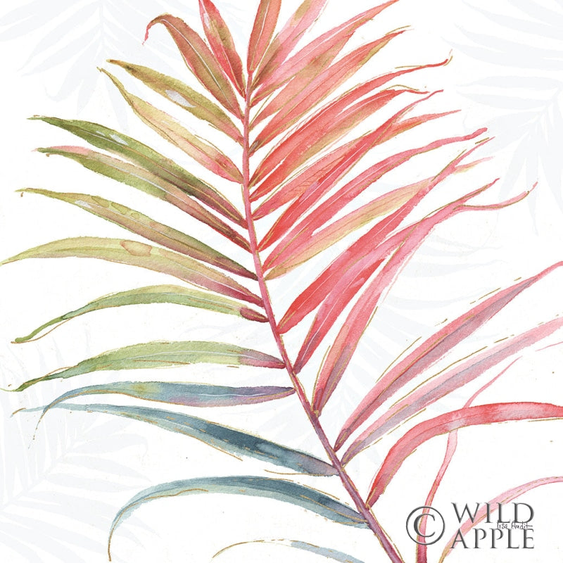 Reproduction of Tropical Blush VI by Lisa Audit - Wall Decor Art