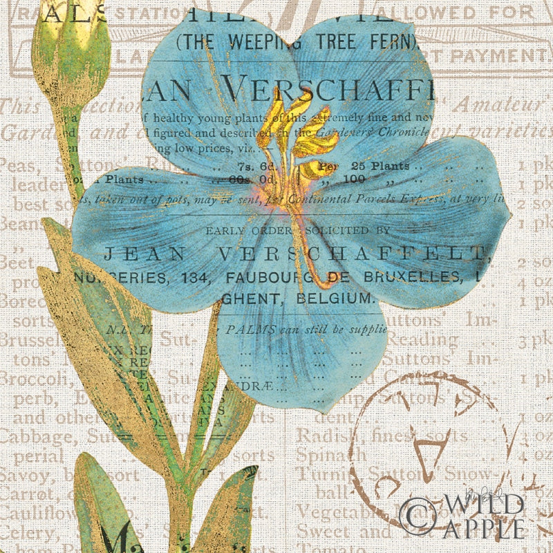 Reproduction of Bookshelf Botanical VI by Katie Pertiet - Wall Decor Art