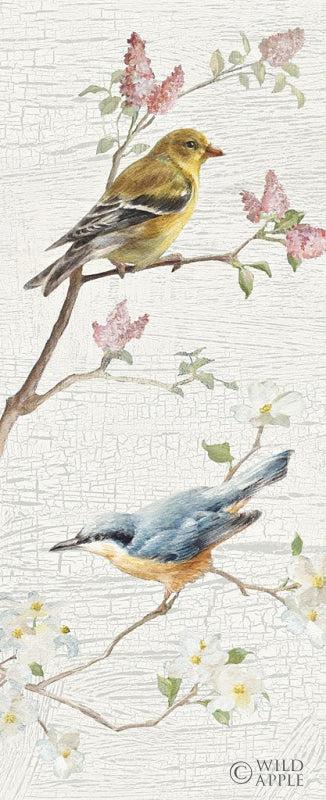 Reproduction of Vintage Birds Panel I by Danhui Nai - Wall Decor Art